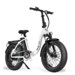 HiBoy EX6F Foldable Electric Bike 75 mi Max Operating Range 25 mph Max Speed from Kings Outlet