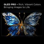 TCL 98" Class Q6-Series 4K UHD QLED Smart Google TV 2024 from Kings Outlet