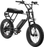 SWFT ZIP eBike 37mi Max Operating Range 20 mph Max Speed Black from Kings Outlet
