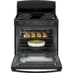 GE 5.0 Cu. Ft. Freestanding Electric Range Black from Kings Outlet