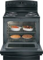 GE 5.0 Cu. Ft. Self-Cleaning Freestanding Electric Range Black from Kings Outlet