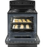 GE 5.0 Cu. Ft. Freestanding Electric Range Black from Kings Outlet