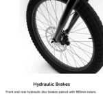 Lectric eBikes XP Lite2 Foldable Long-Range Belt Drive eBike 80 miles Max Operating Range from Kings Outlet