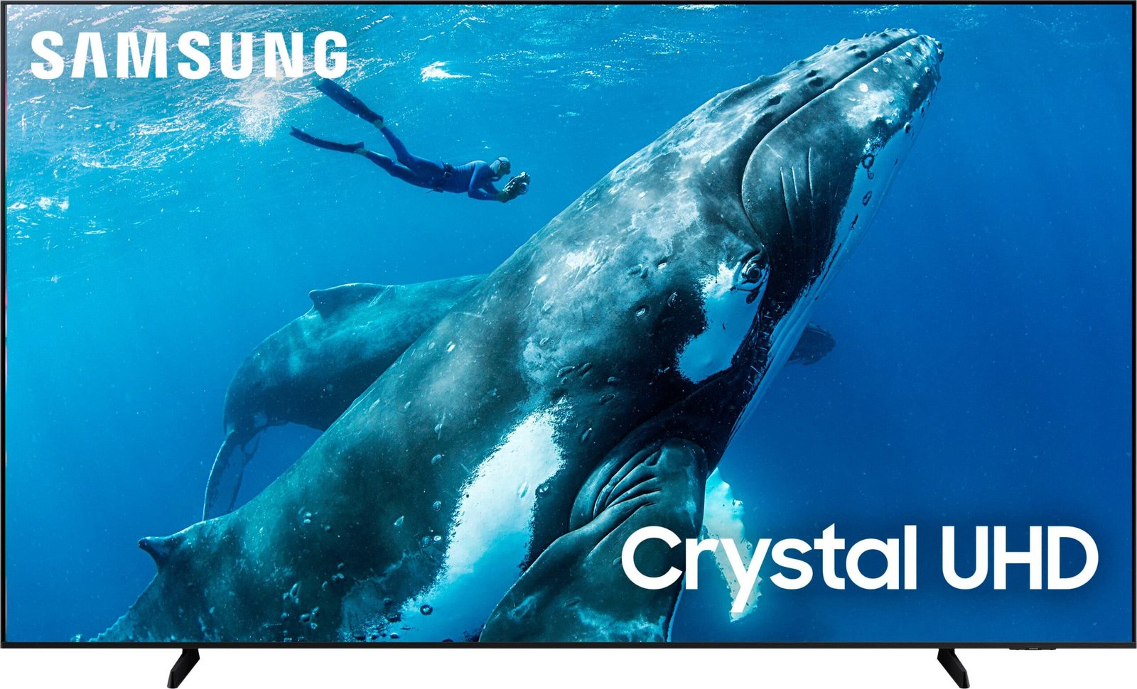Kings Outlet Samsung 98" Class DU9000 Series Crystal UHD Smart Tizen TV 2024 Samsung 98" Class DU9000 Series Crystal UHD Smart Tizen TV 2024 from Kings Outlet