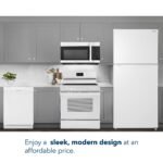 Insignia 5.3 Cu. Ft. Freestanding Electric Range Dual-Size Burner Storage Drawer White from Kings Outlet