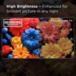 TCL 75" Class S5-Series 4K UHD LED Smart Google TV 2024 from Kings Outlet