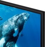 Samsung 98" Class DU9000 Series Crystal UHD Smart Tizen TV 2024 from Kings Outlet