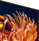 Samsung 55" Class DU8000 Series Crystal UHD Smart Tizen TV 2024 from Kings Outlet