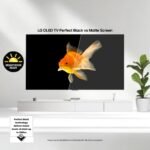 LG 55" Class G5 Series OLED evo AI 4K UHD Smart webOS TV One from Kings Outlet